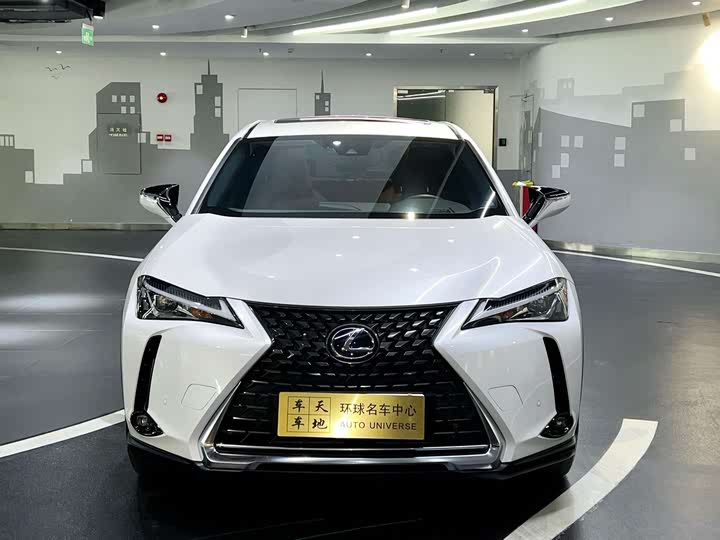 Lexus UX Hybrid 2020 2020款 300e 纯·享版