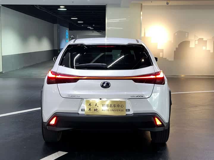 Lexus UX Hybrid 2020 2020款 300e 纯·享版