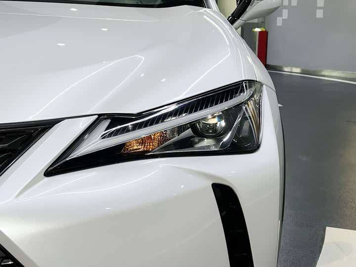 Lexus UX Hybrid 2020 2020款 300e 纯·享版
