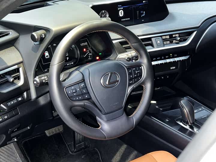 Lexus UX Hybrid 2020 2020款 300e 纯·享版