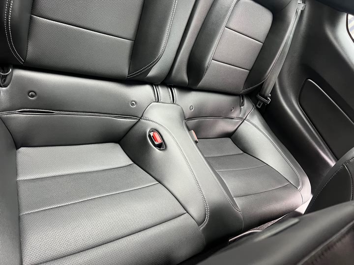 Ford Mustang 2022 2022款 2.3T EcoBoost 寰海蓝天限量版