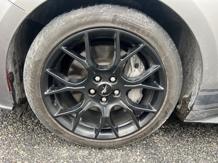 Ford Mustang 2022 2022款 2.3T EcoBoost 寰海蓝天限量版