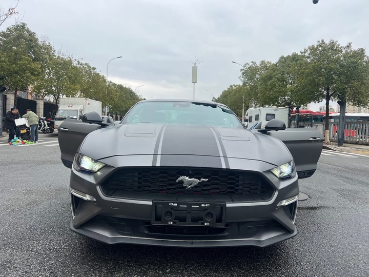 Ford Mustang 2022 2022款 2.3T EcoBoost 寰海蓝天限量版