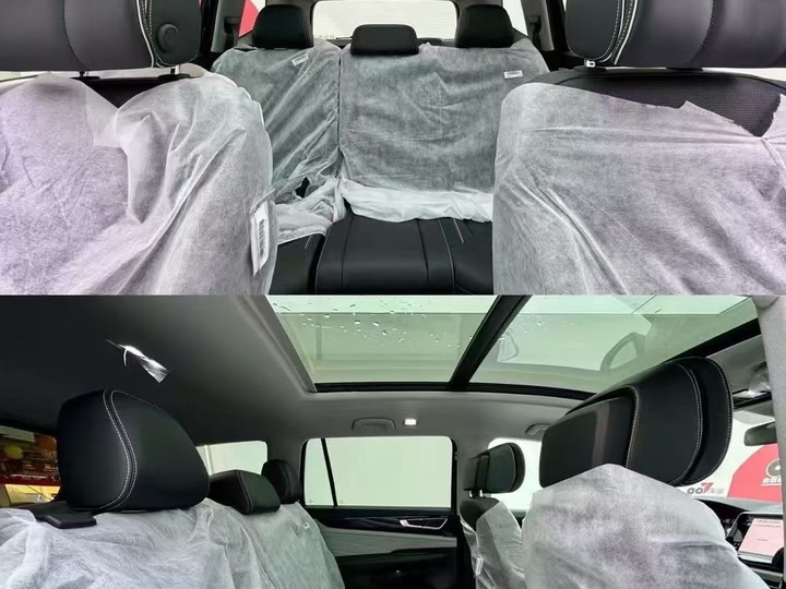 Volkswagen Teramont Pro 2024 2024款 380TSI 四驱龙耀版