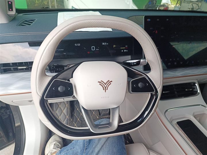 Hozon L 2024 2024款 增程 220 尊享版