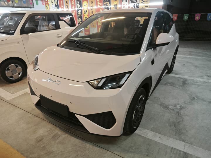 BYD Seagull 2025 2025款 305km 自由版