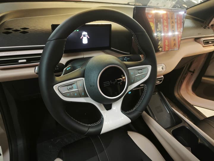 BYD Seagull 2025 2025款 305km 自由版