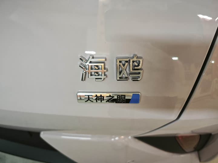 BYD Seagull 2025 2025款 305km 自由版