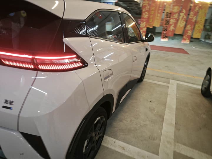 BYD Seagull 2025 2025款 305km 自由版