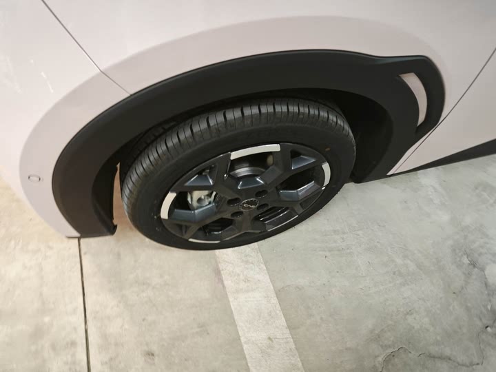 BYD Seagull 2025 2025款 305km 自由版