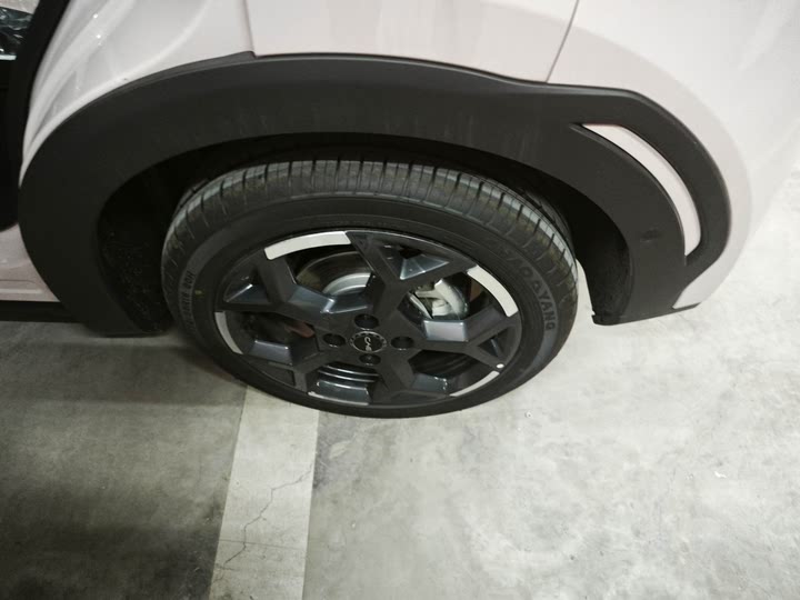 BYD Seagull 2025 2025款 305km 自由版