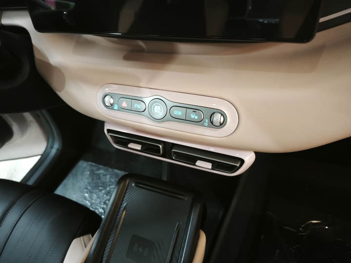 BYD Seagull 2025 2025款 305km 自由版