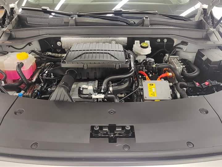 Exeed RX C-DM Hybrid 2024 2024款 1.5T 长续航Pro