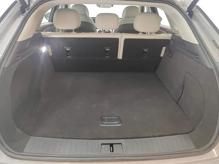 Exeed RX C-DM Hybrid 2024 2024款 1.5T 长续航Pro