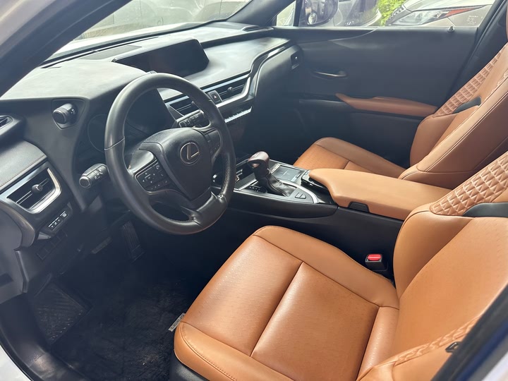 Lexus UX 2020 2020款 200 特别版