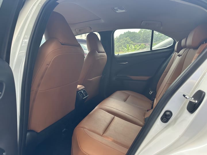 Lexus UX 2020 2020款 200 特别版