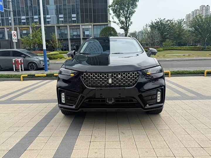Wey VV7 2020 2020款 2.0T 旗舰型