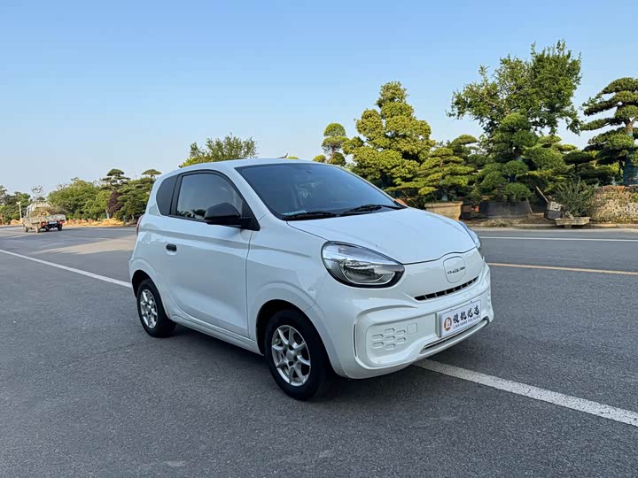 Roewe Clever 2022 2022款 311km元气啵啵版