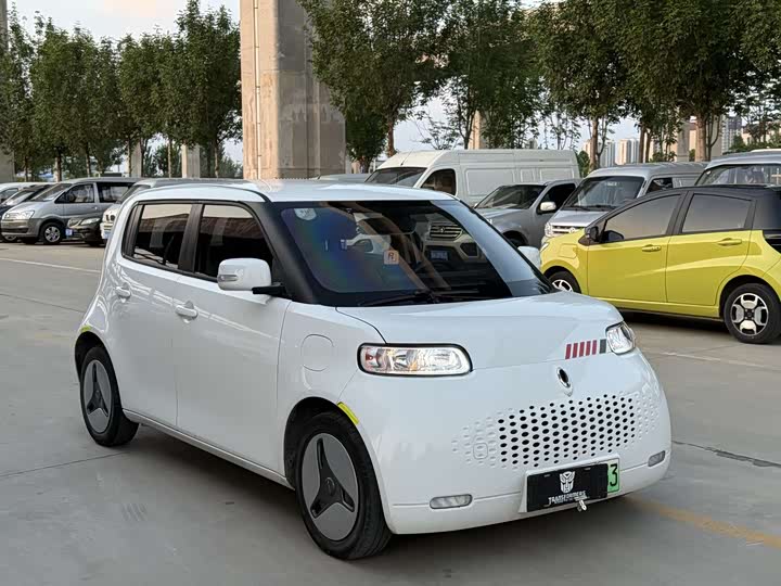 Ora White Cat 2020 2020款 360km 豪华型